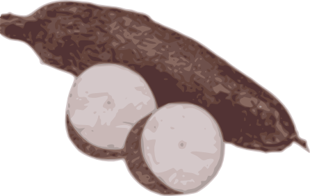 Archivo:Yuccas.png