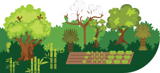 Archivo:G23056.png