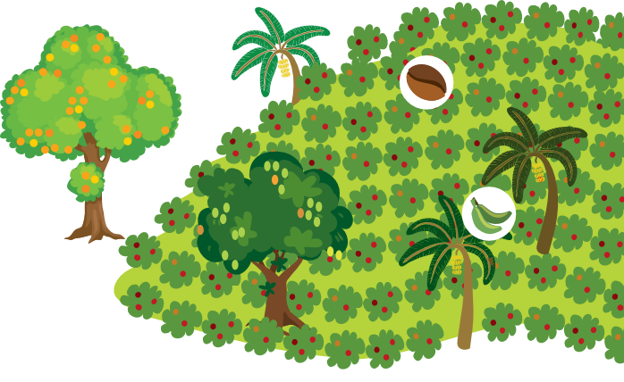 Archivo:G680.png