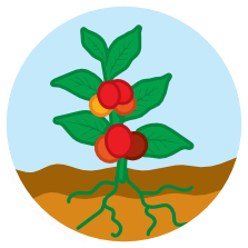 Archivo:G11901.png