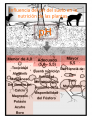 Miniatura de la versión del 05:13 14 ene 2017