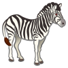 Zebra.png