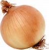 Onion.png