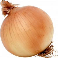 Onion.png