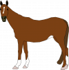 Machovka-horse-800px.png