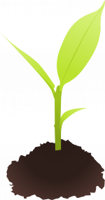 Cyberscooty-small plant-2400px.png