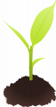 Cyberscooty-small plant-2400px.png