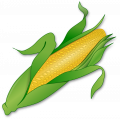 Corn.png